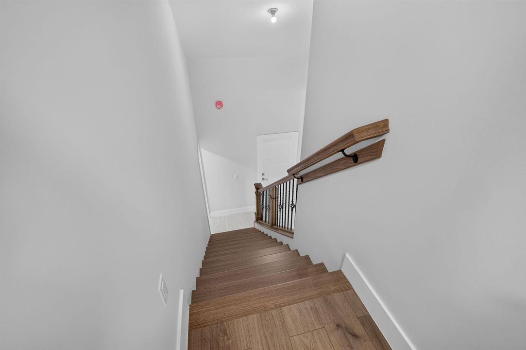 58-web-or-mls-5D1A3005
