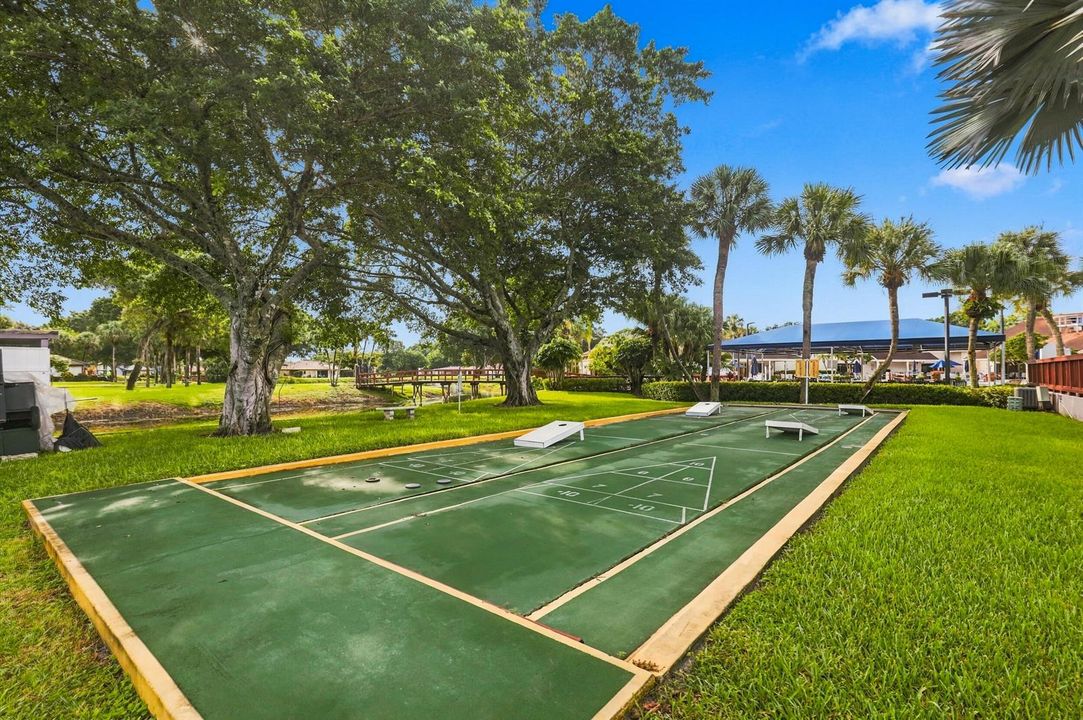 Shuffleboard court