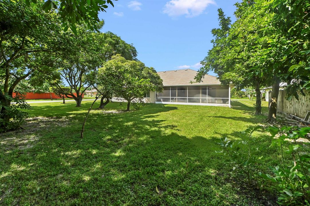 30 Backyard 01