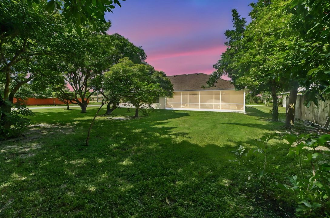 30-Backyard-01_TW