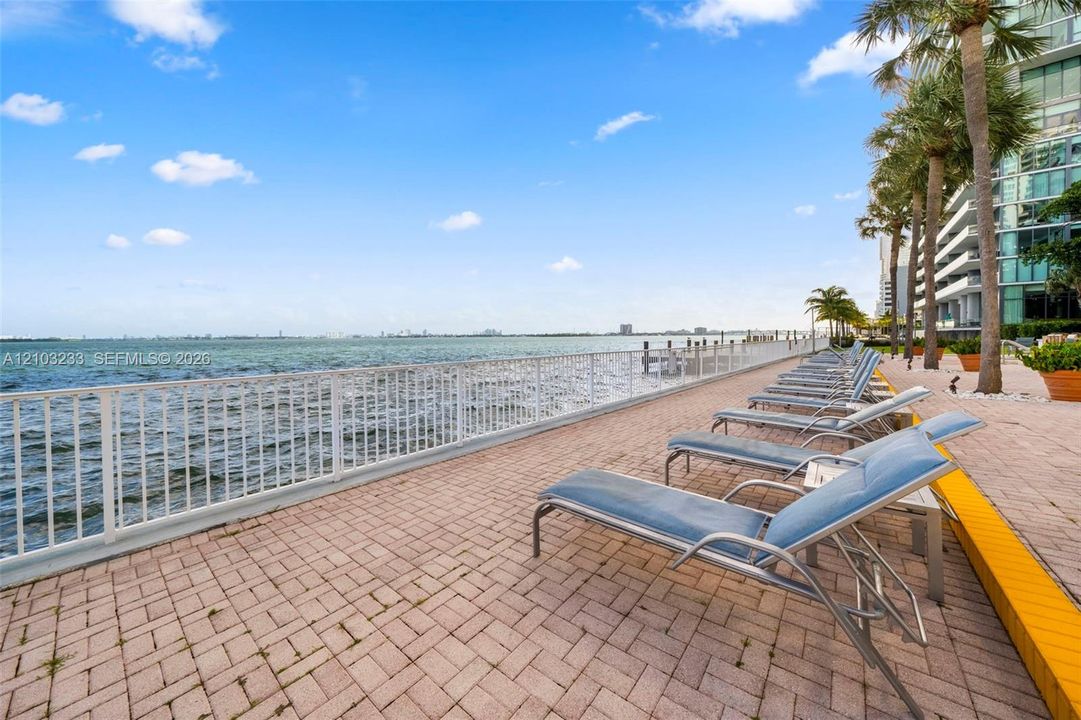 Waterfront terrace featuring paver flooring, a white metal railing, and mature palm trees