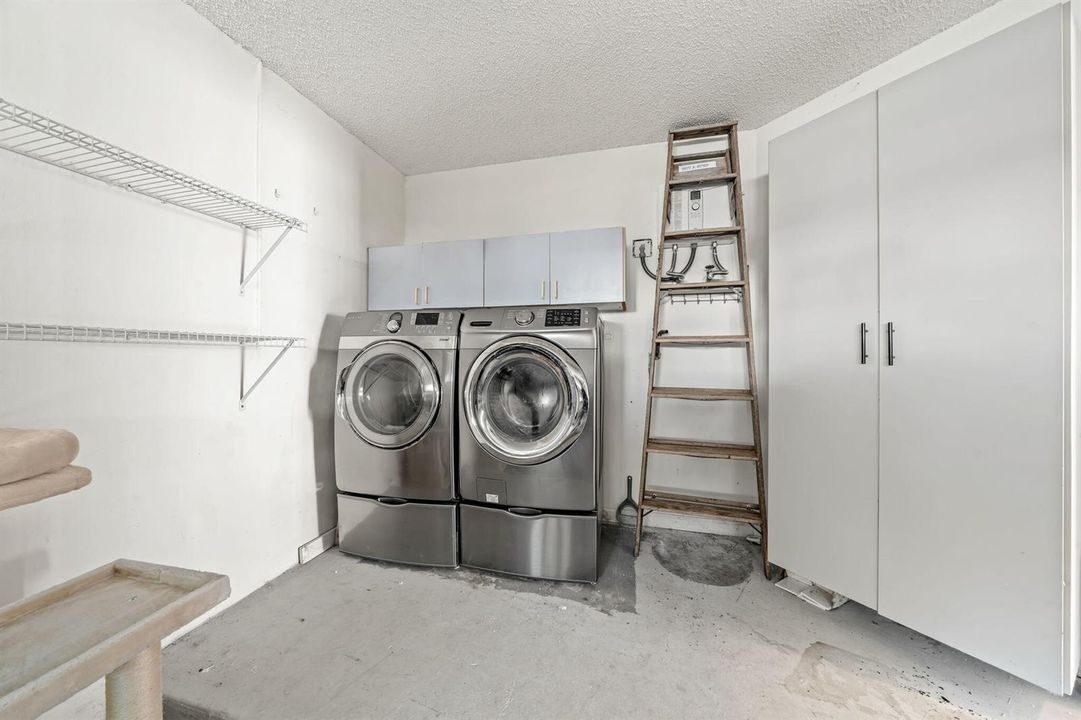 31-web-or-mls-DSC06117