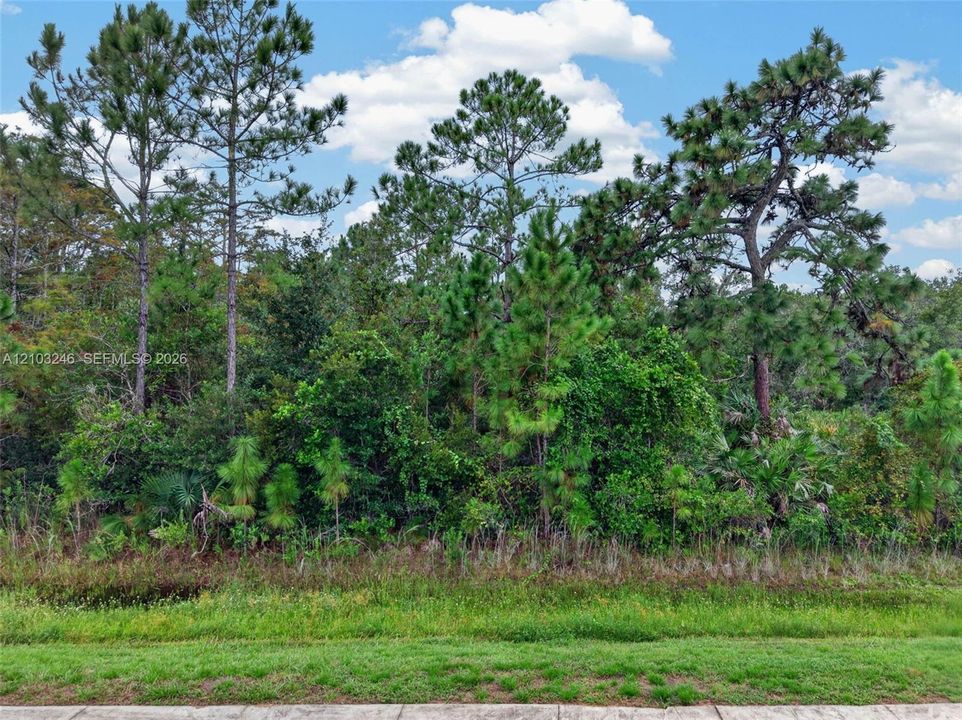 En Venta: $250,000 (1.11 acres)