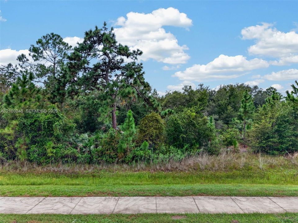 En Venta: $250,000 (1.11 acres)