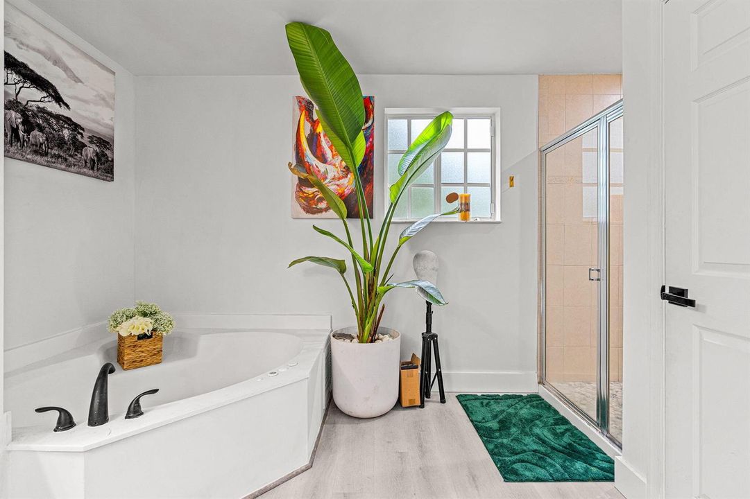 24-web-or-mls-24