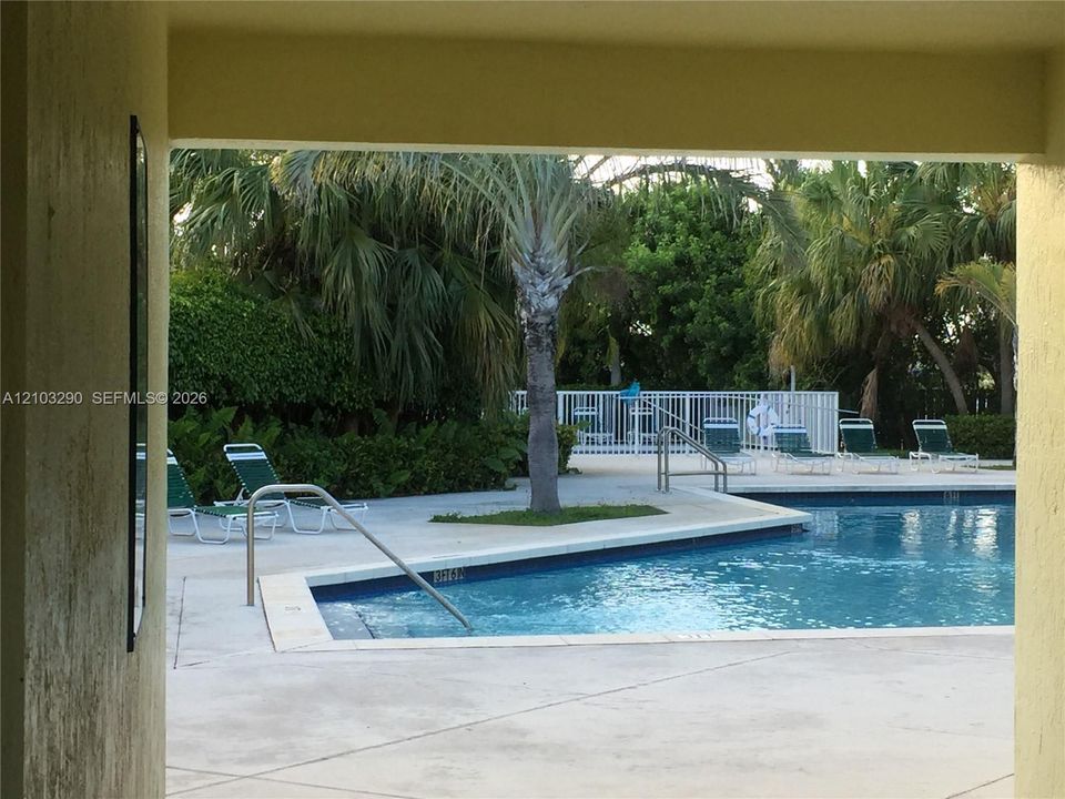 Swimming pool featuring a concrete deck, metal safety fencing, and integrated pool stairs with a metal handrail, surrounded by mature palm trees and lush greenery