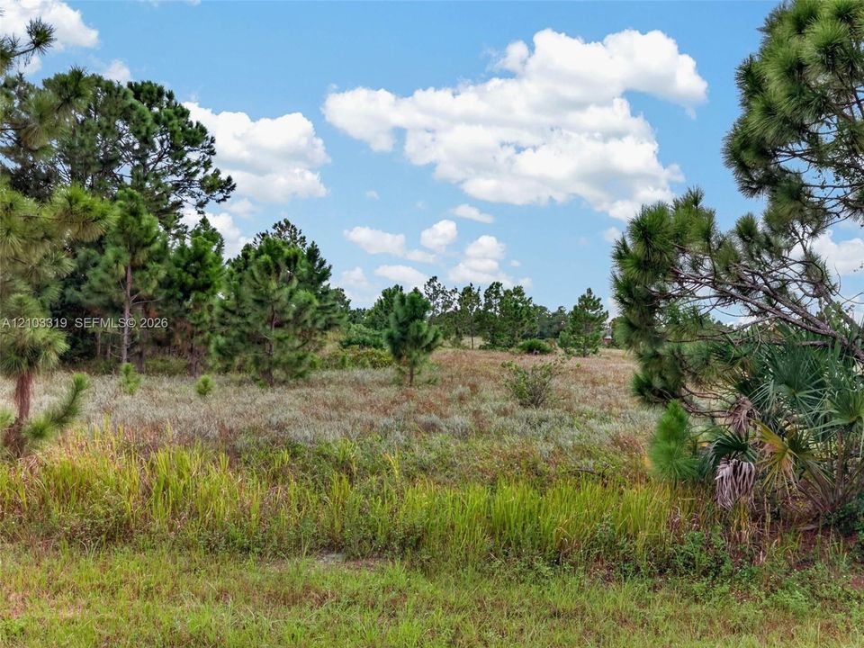 En Venta: $65,000 (0.27 acres)