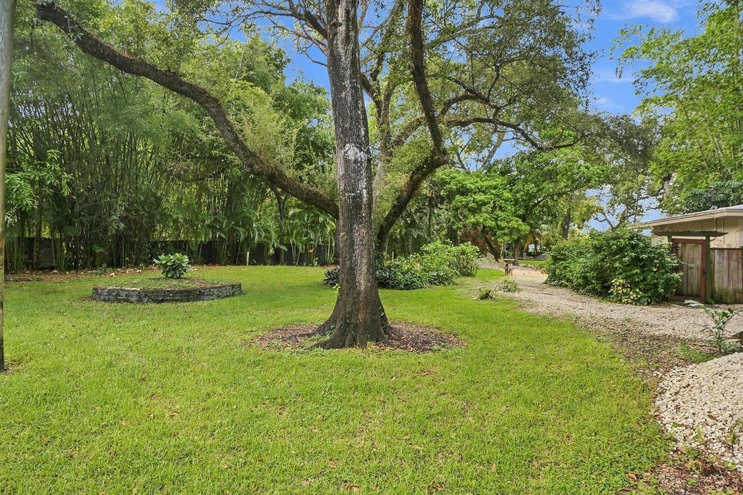 Yard