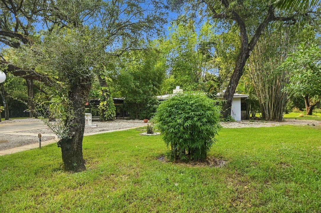 Yard