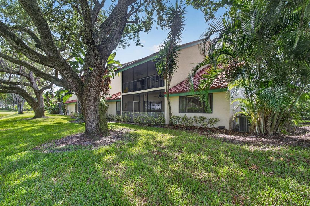 50-web-or-mls-5D1A6219