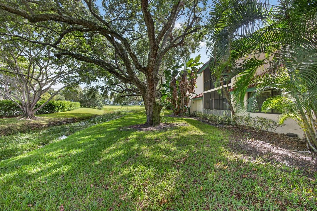 49-web-or-mls-5D1A6214