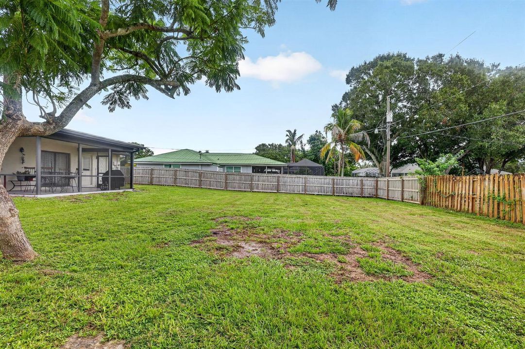 33-web-or-mls-5P1A6032
