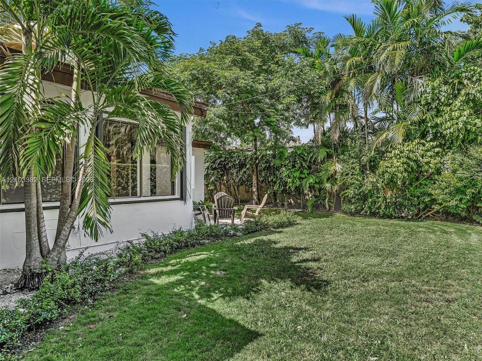 Expansive fenced backyard featuring a manicured lawn, established palm trees, mature greenery, and a concrete patio area. House for rent in Coral Gables. House for rent listed by Realtor.