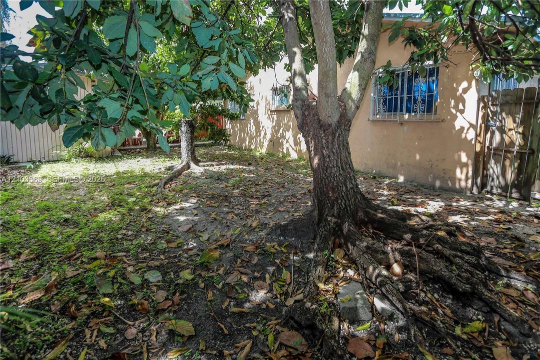 На продажу: $450,000 (3 спален, 2 ванн, 1401 Квадратных фут)