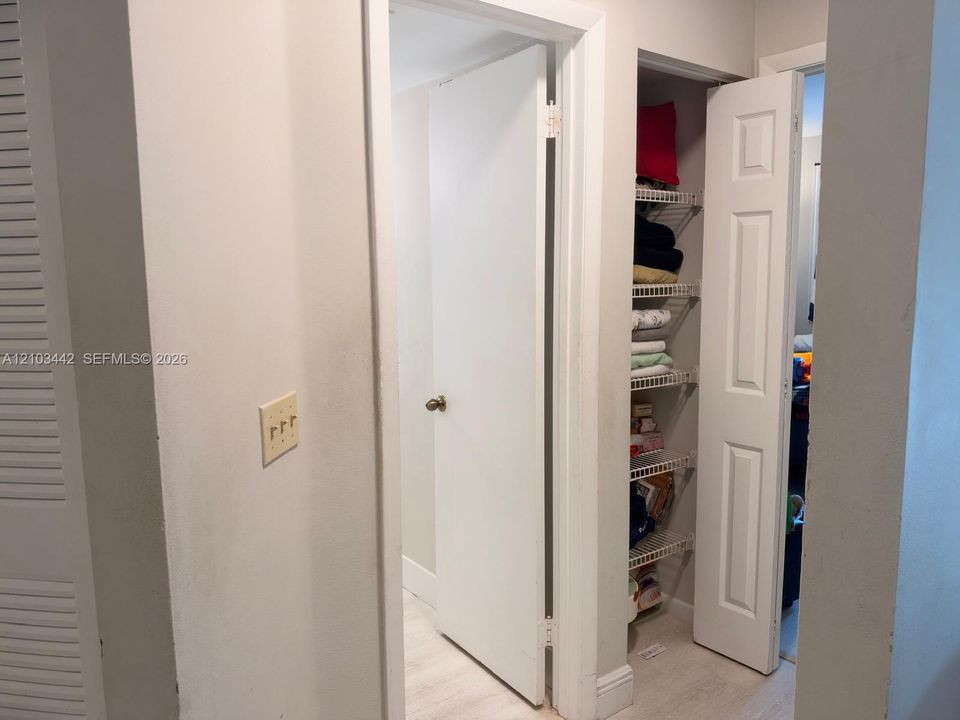 Interior hall featuring white six-panel swing doors, a built-in reach-in closet with integrated wire shelving, and wood-finish flooring