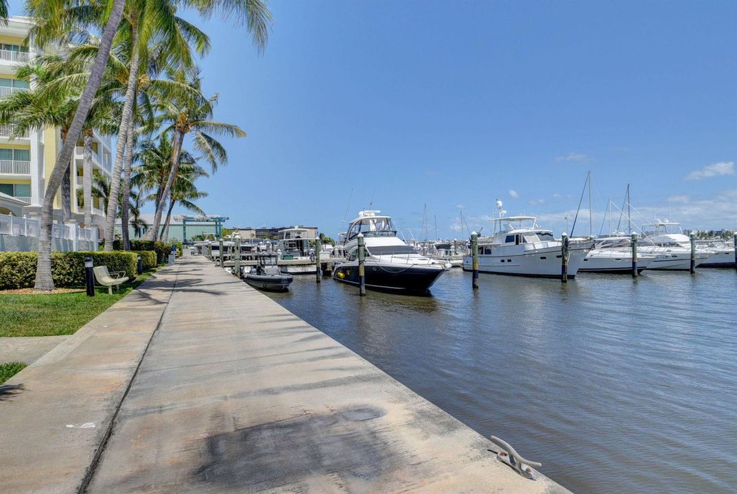 Marina