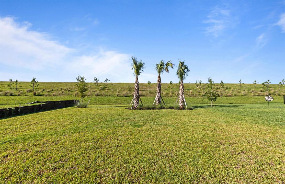 SWFL_HML_Cedar_12403_View