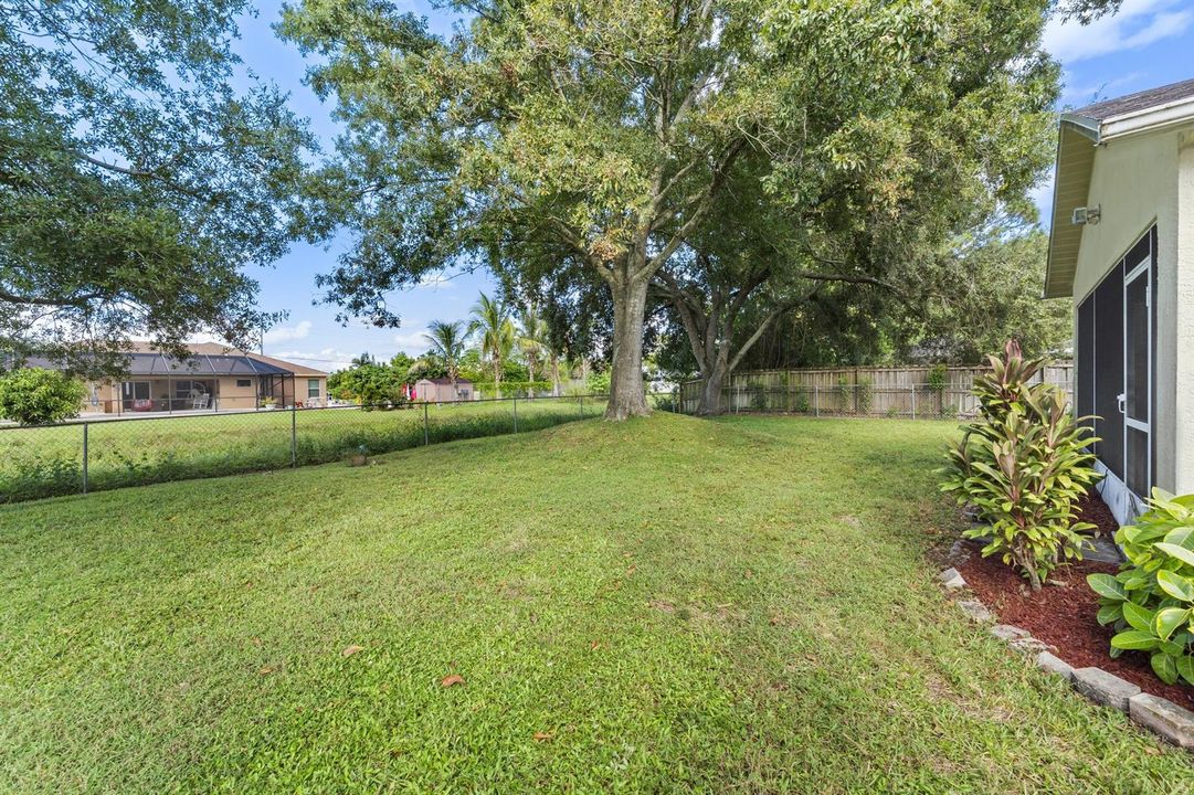Yard