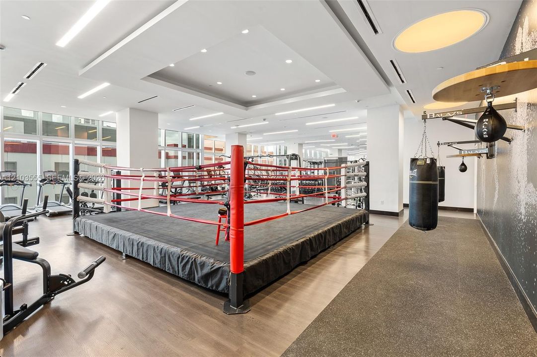 Dedicated boxing ring with padded floor, speed bag, heavy bag, and wood-finish flooring