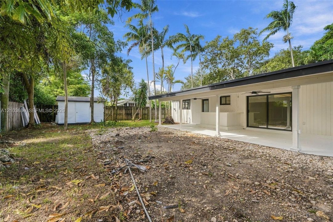 Backyard featuring a covered patio, concrete flooring, exterior siding, mature palm trees, and a detached storage structure