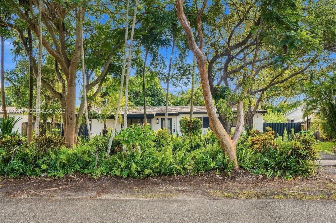 Single-story exterior featuring mature tropical trees, lush ornamental shrubbery, and a concrete pathway