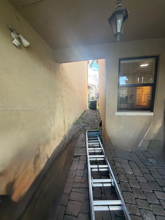 Terraza area