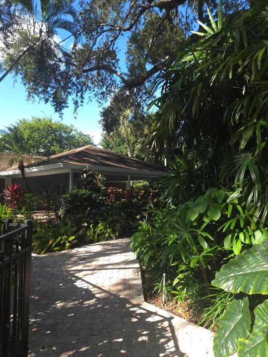 Pool area with mature trees
