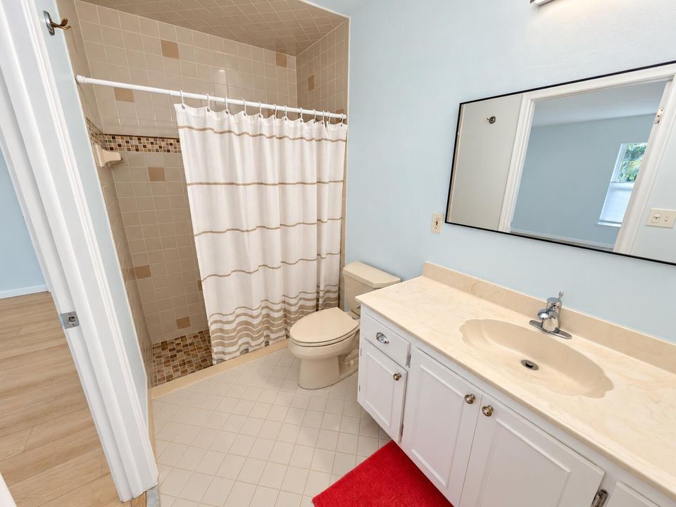Bright natural bathroom with red rug