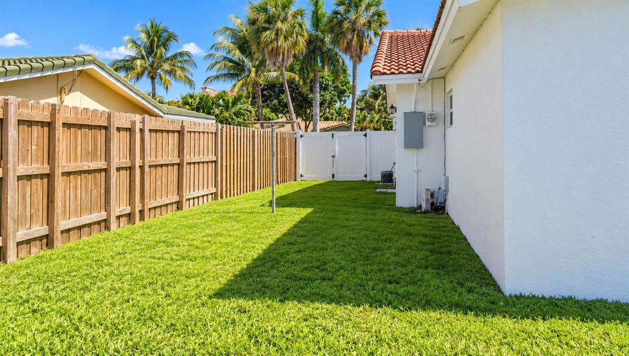Sunny Tropical Side Yard