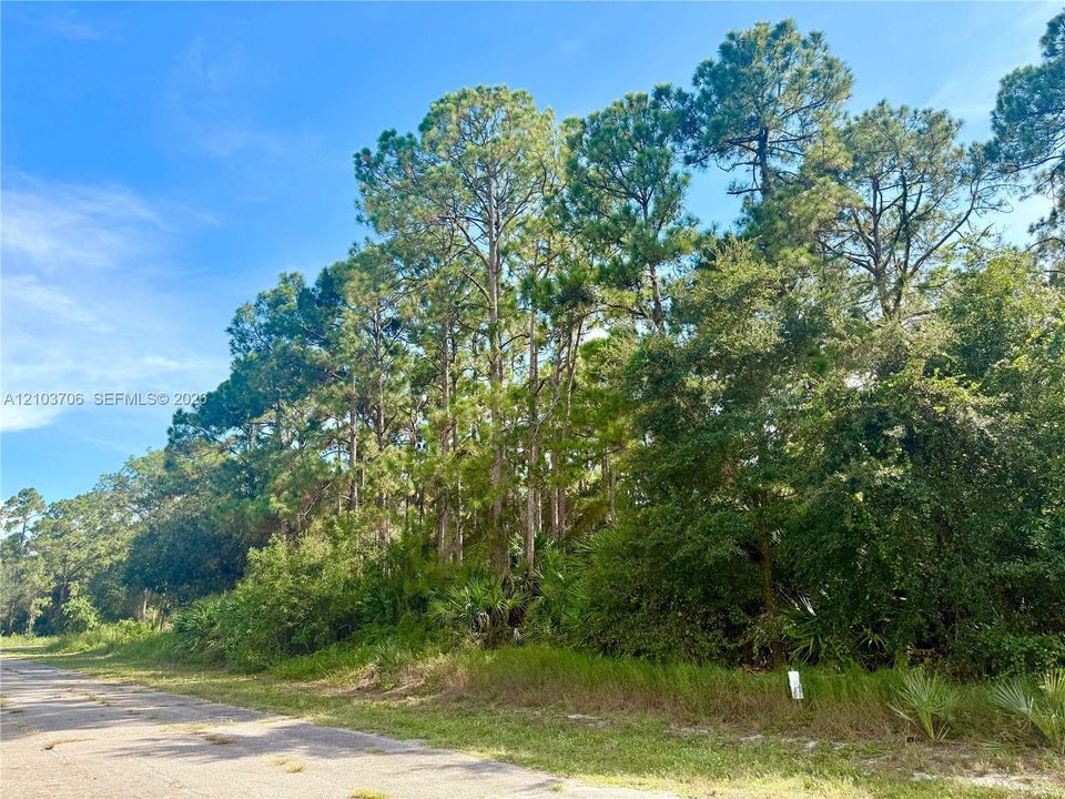待售: $19,000 (0.23 acres)