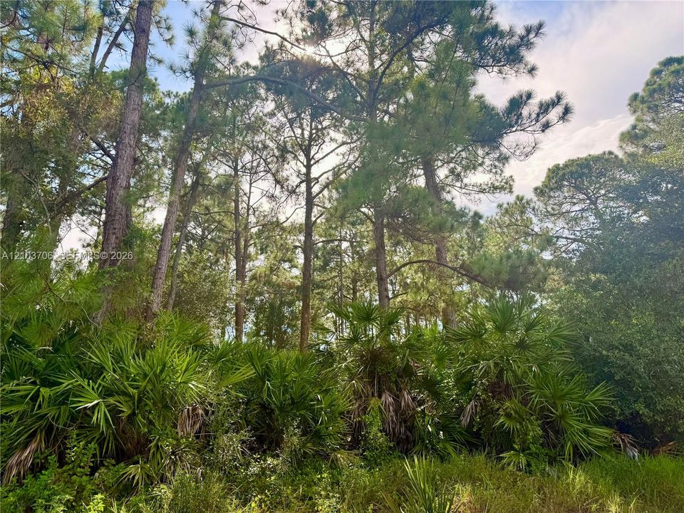 待售: $19,000 (0.23 acres)