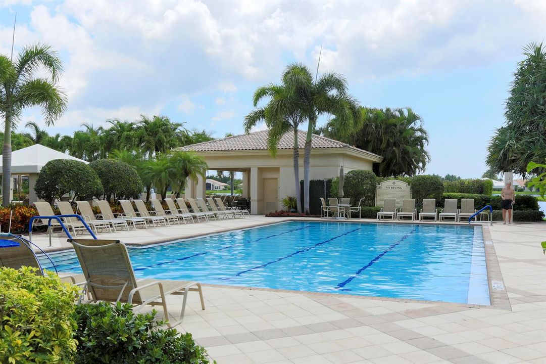 Lap Pool