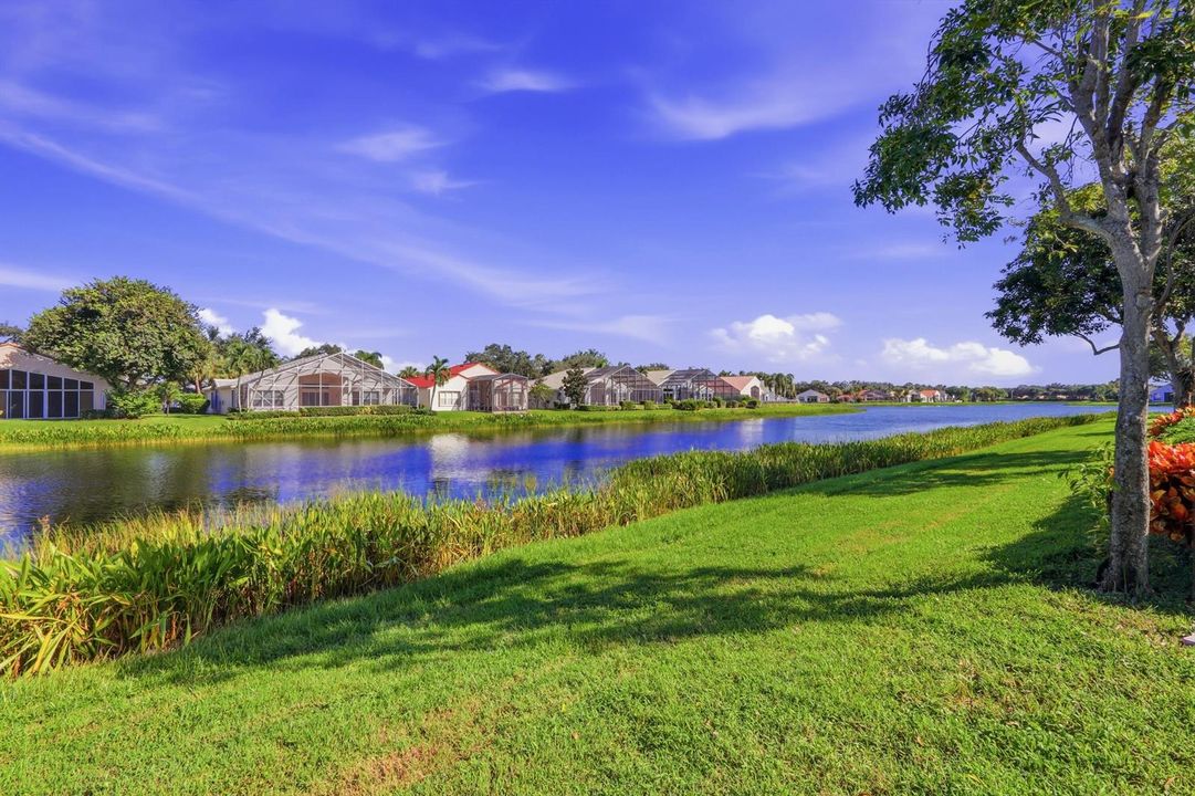 Lake View