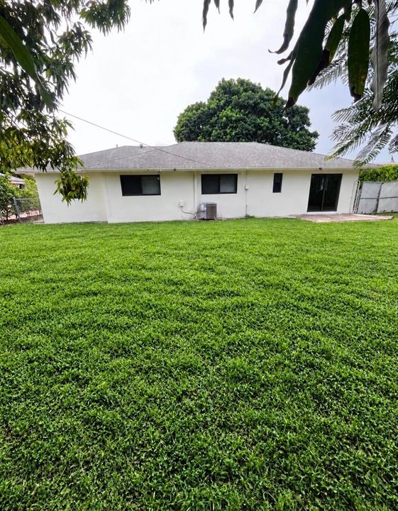 Backyard