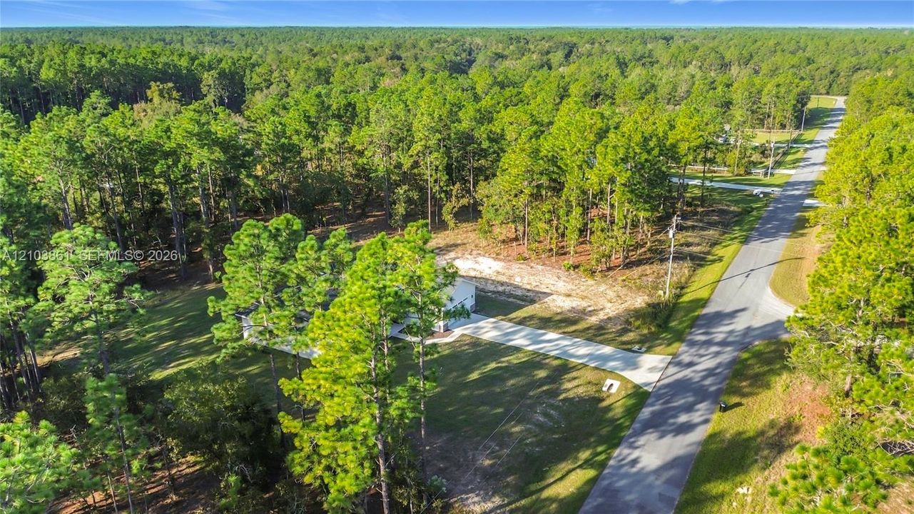 Aerial view of a residential parcel featuring extensive woodland, a paved driveway, and established pine trees
