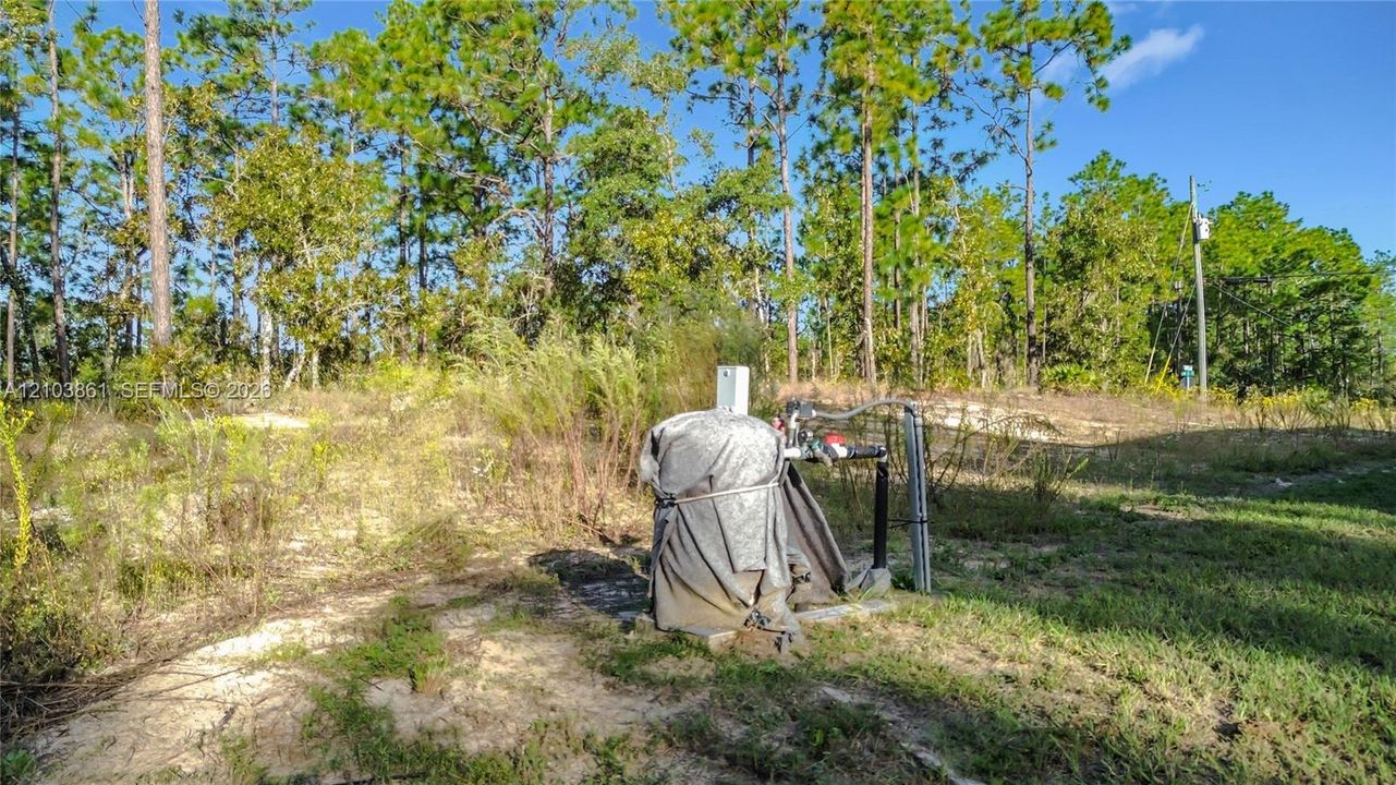 Vacant lot featuring a private well pump and mature pine tree backdrop
