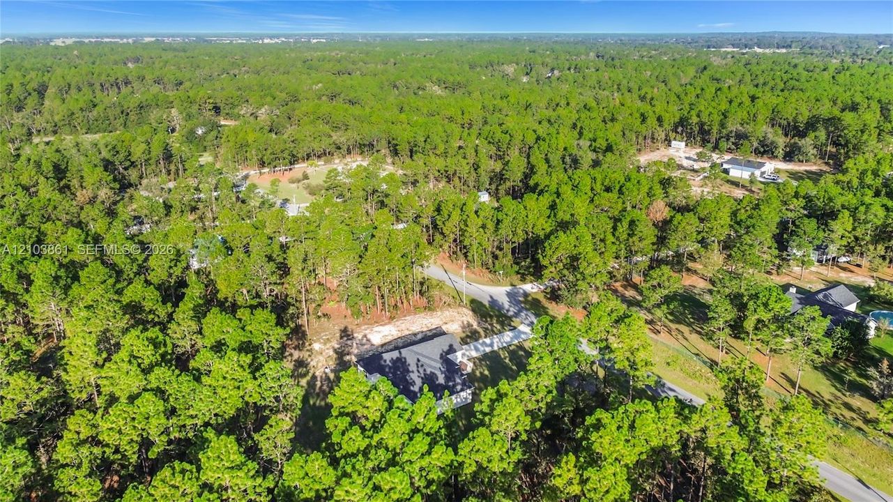 Aerial perspective of a property featuring a dense wooded lot, paved access road, and proximity to surrounding forest land