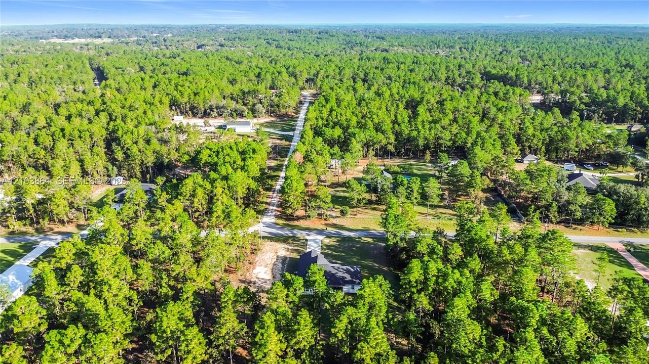 Aerial perspective of a sprawling lot featuring dense mature forest canopy, paved road access, and clearings for residential structures