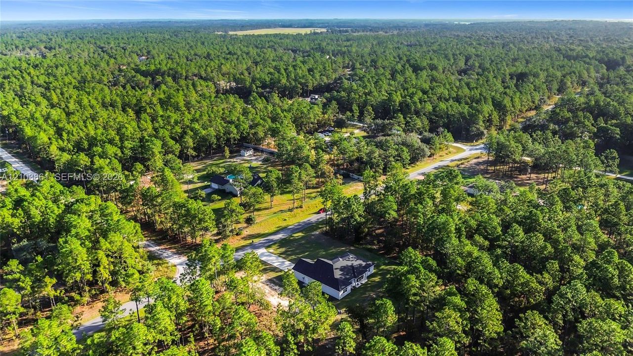 Aerial perspective of property featuring dense woodland surroundings, expansive lot size, paved access road, and mature evergreen vegetation