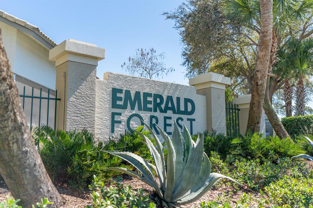 Emerald Forest