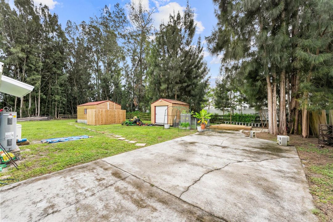 Back