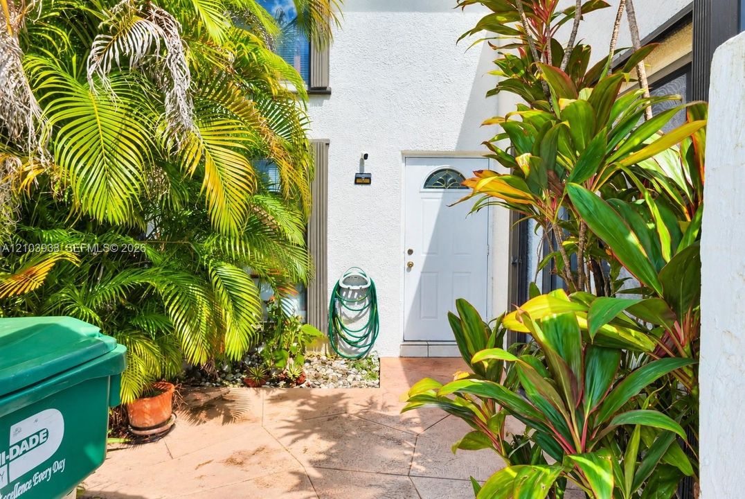 Exterior entryway featuring a white-finish door with an arched glass inset, paved stone patio, and mature palm landscaping