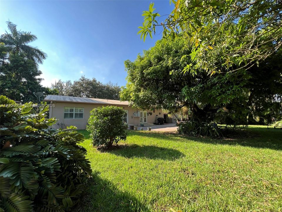 Expansive backyard featuring a manicured lawn, mature trees, and a paved patio area
