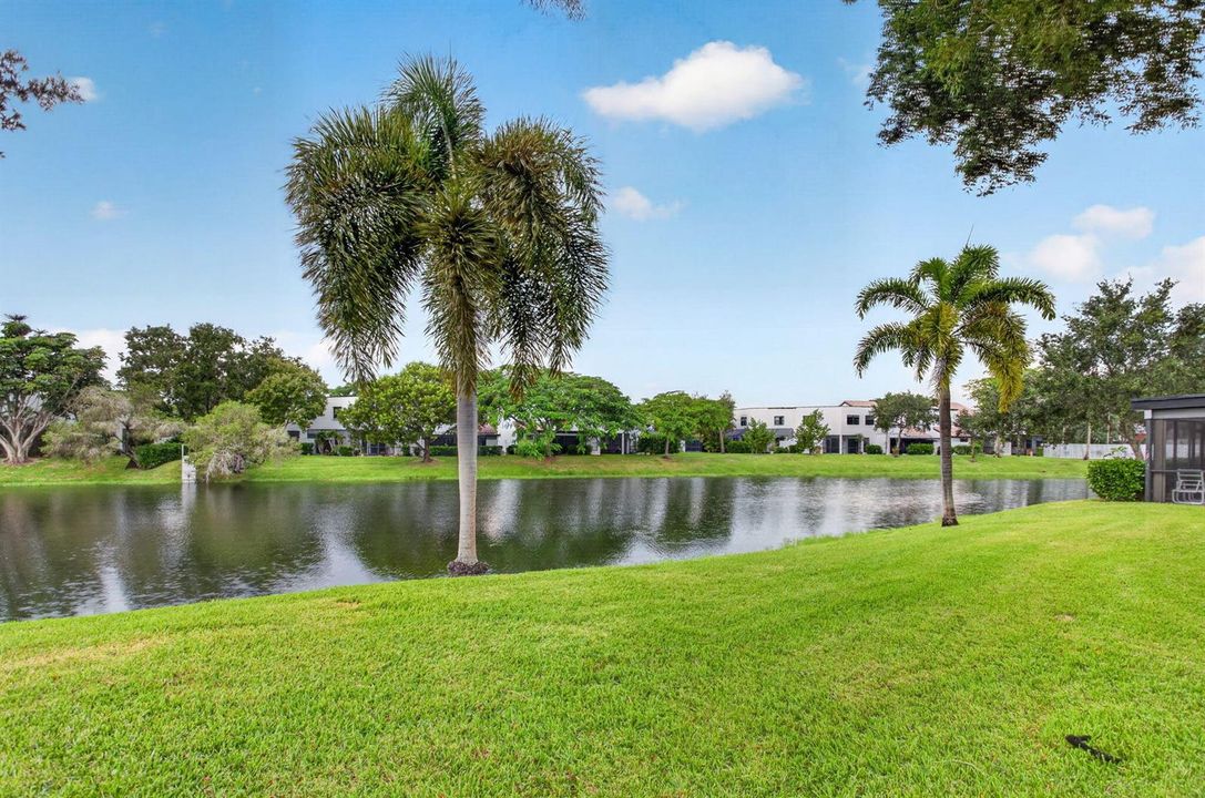 9-web-or-mls-509-12