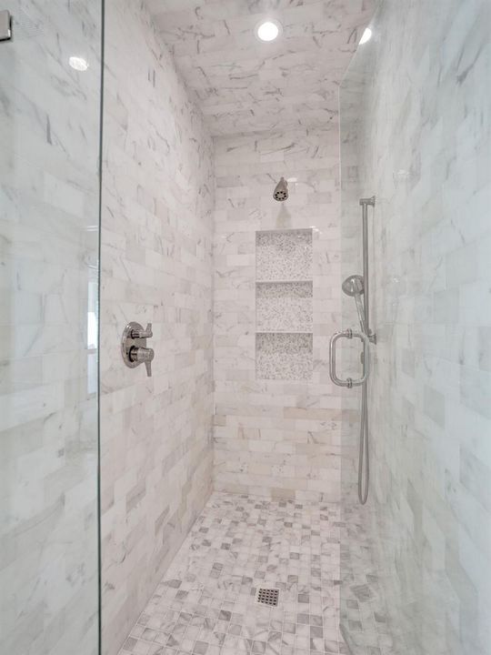 Primary Shower
