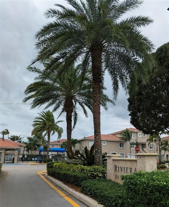 Exterior entryway featuring mature palm trees, manicured hedges, and a masonry community monument sign