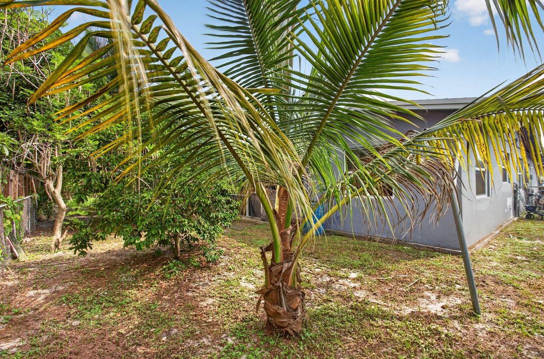 7-web-or-mls-6351-4