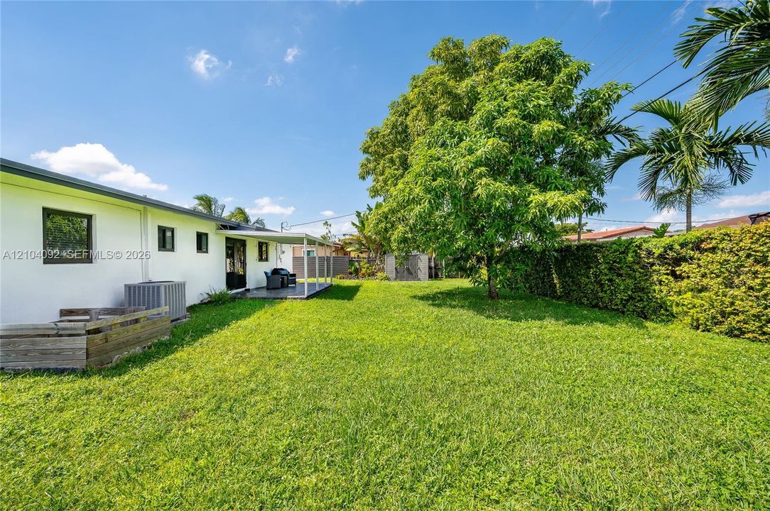 Expansive backyard featuring a covered patio, mature landscaping, tall perimeter hedges, and a dedicated storage structure