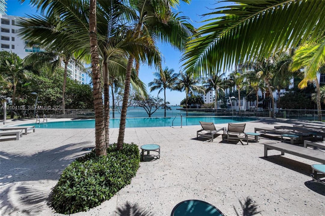 Expansive poolside area with a large swimming pool, surrounded by mature palm trees and lush landscaping