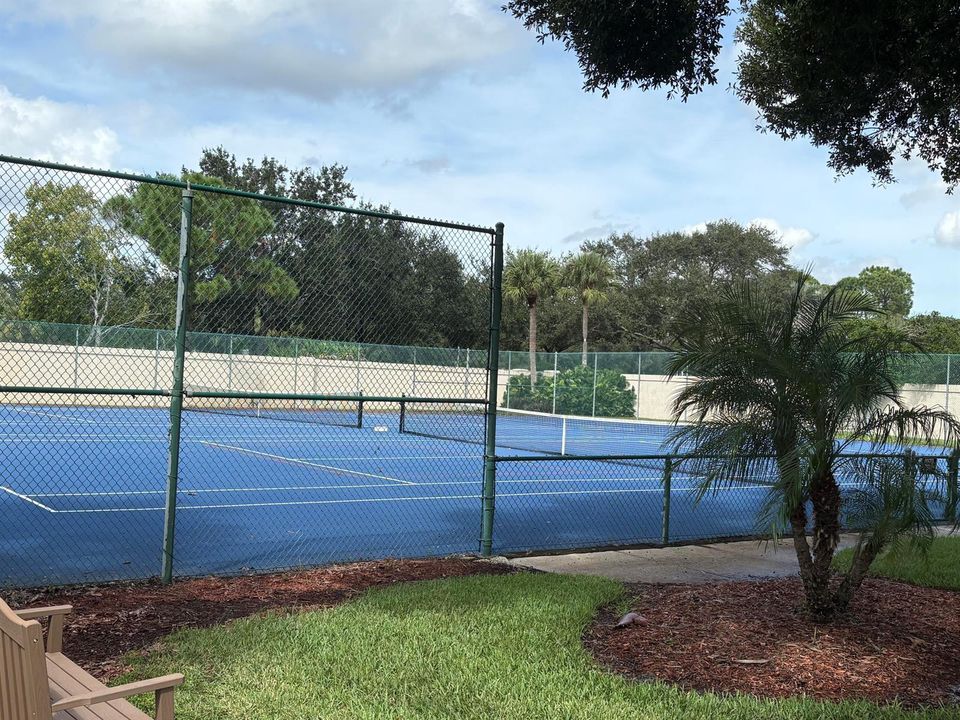 Tennis Anyone